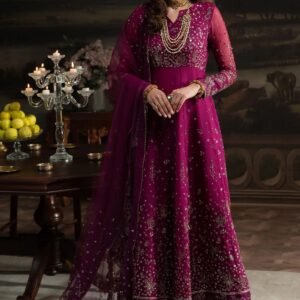 NUREH Embroidered Organza 3-Piece Suit with Silk Borders